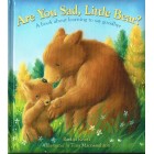 Are You Sad, Little Bear? by Rachel Rivett a book about learning to say goodbye